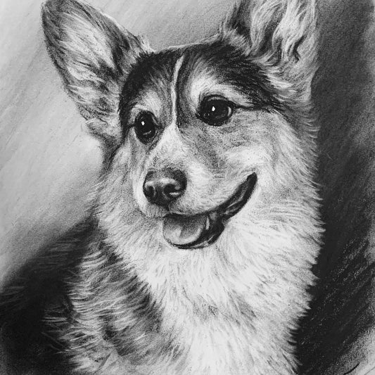The Charcoal Portrait — hand-drawn charcoal pet portrait by Forevervow