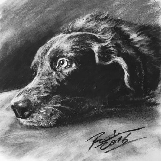 The Charcoal Portrait — hand-drawn charcoal pet portrait by Forevervow